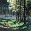 granskov_solglimt