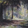 kvaers-hede