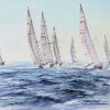 101-fleet